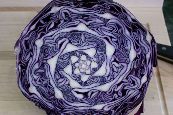 A cabbage with a pattern