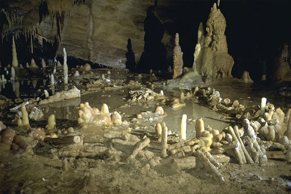 Neanderthal structures