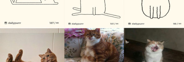 Many times cat drawings made people laugh